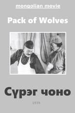 Poster for Сүрэг чоно 