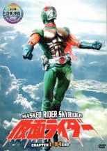Poster for New Kamen Rider - Skyrider