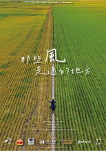 那些風走過的地方