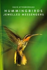 Poster for Hummingbirds: Jewelled Messengers