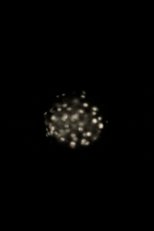 Phosphene (2018)
