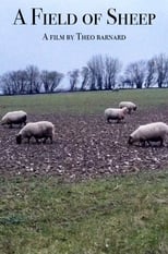 Poster for A Field of Sheep 