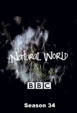 Poster for Natural World Season 34