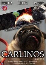 Carlinos, la serie poster image