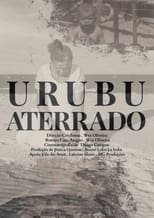 Poster for Urubu Aterrrado