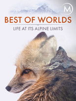 Watch Best of Worlds: Life at its Alpine Limits (2014)