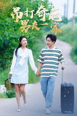 吊打奇葩男友一家 poster