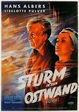 Föhn main poster