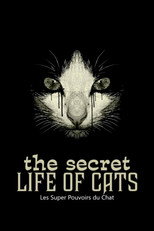 Les Super Pouvoirs du chat