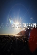 Poster di Animal Super Parents