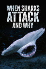 When Sharks Attack… And Why