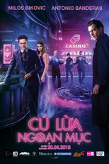 Cú Lừa Ngoạn Mục