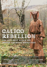 Poster for Calico Rebellion