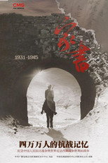 家书-四万万人的抗战记忆 poster