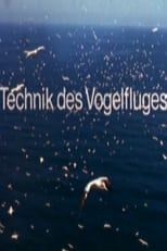 Poster for Technik des Vogelfluges