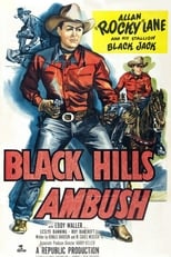 Poster for Black Hills Ambush