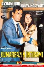 Poster for Kumarbazın İntikamı 