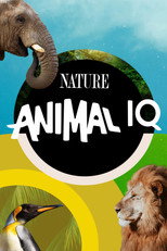 Animal IQ poster
