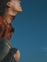 We no longer wait for the Barbarians main poster