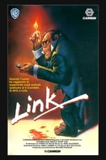 Poster di Link