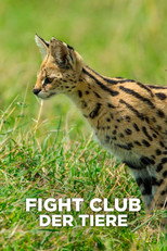 Nature's Fight Club poster
