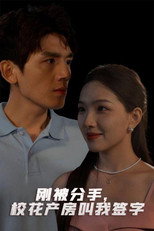刚被分手，校花产房叫我签字 poster