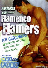 Flamenco Flamers