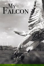 My Falcon main poster