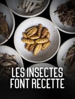 Poster for Les insectes font recette 