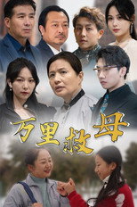 万里救母 poster