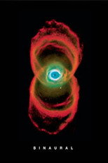 Pearl Jam: Binaural poster