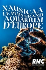 Poster for Nausicaa, le plus grand aquarium d'Europe 
