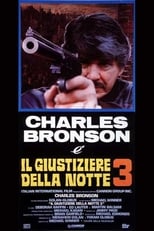 Poster di Il giustiziere della notte 3