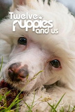 12 Puppies And Us poster