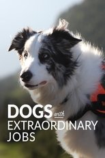 Dogs with Extraordinary Jobs (2019)