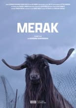 Poster for Merak 