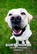 Poster for Bunte Hunde – Wo die Tierliebe hinfällt