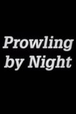Poster for Prowling by Night 