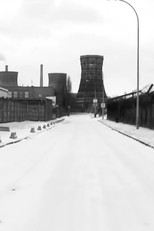 Wild Strike (Genesis) poster