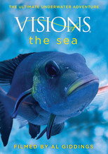 Visions of the Sea poster