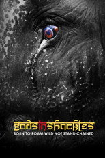 Gods in Shackles (2016)
