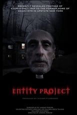 Poster for Entity Project