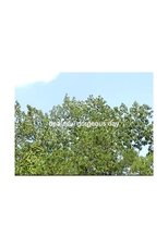 beautiful gorgeous day (2025)