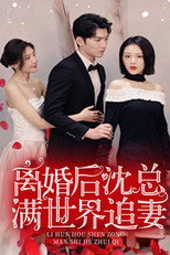 离婚后，沈总满世界追妻 poster