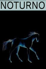 Noturno poster