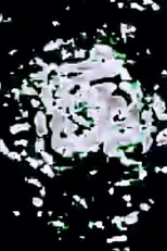 WATERDROPS COMPOSITION 4