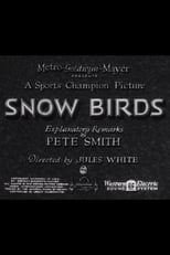 Poster for Snow Birds