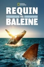 Requin vs Baleine serie streaming