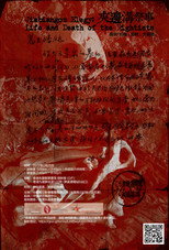 夹边沟祭事 poster