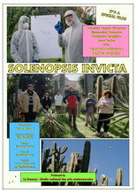 Solenopsis invicta